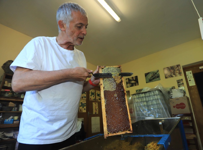 Santa Lucia di Mercoriu : L’instit qui murmurait à l’oreille des abeilles Santa Lucia di Mercoriu : L’instit qui murmurait à l’oreille des abeilles