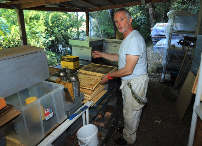 Santa Lucia di Mercoriu : L’instit qui murmurait à l’oreille des abeilles Santa Lucia di Mercoriu : L’instit qui murmurait à l’oreille des abeilles