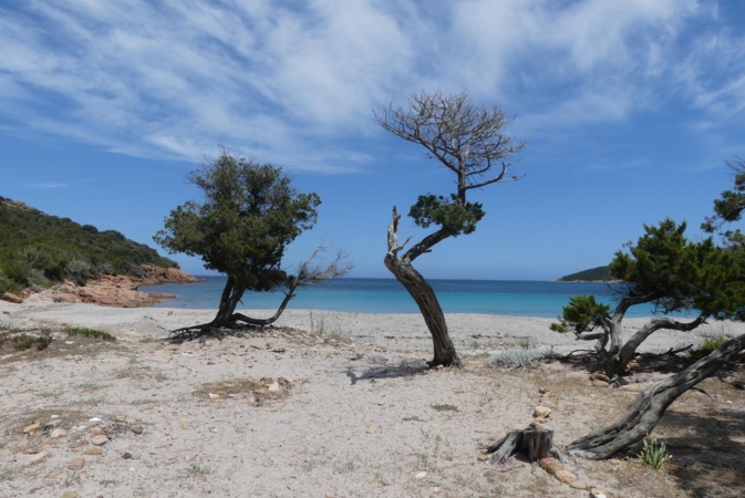 La photo du jour : La plage de Porto-Novo de Porto-Vecchio