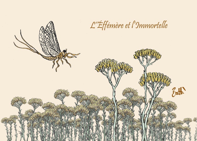 Le dessin de Battì : la presse, l'éphémère et l'immortelle Le dessin de Battì : la presse, l'éphémère et l'immortelle