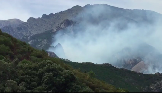 (Photo Magalie Paolacci) (Photo Magalie Paolacci)