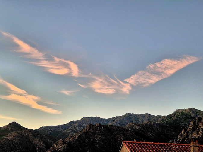 La photo du jour : Le grand oiseau sopr'à Monte Astu, comme un signe de paix La photo du jour : Le grand oiseau sopr'à Monte Astu, comme un signe de paix