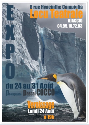 "En territoire du manchot royal" : Exposition du 24 au 31 Août à Locu Teatrale "En territoire du manchot royal" : Exposition du 24 au 31 Août à Locu Teatrale