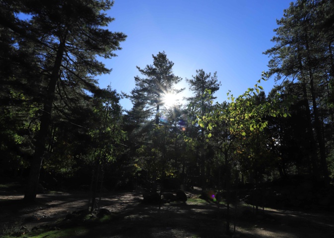 Vezzani : La 27e édition d’A Festa di u Legnu les 20 et 21 juillet Vezzani : La 27e édition d’A Festa di u Legnu les 20 et 21 juillet