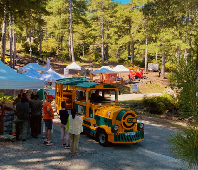 Vezzani : Le succès ne se dément pas pour A Festa di u Legnu Vezzani : Le succès ne se dément pas pour A Festa di u Legnu