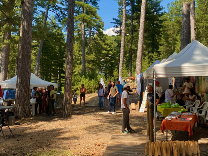 Vezzani : Le succès ne se dément pas pour A Festa di u Legnu Vezzani : Le succès ne se dément pas pour A Festa di u Legnu