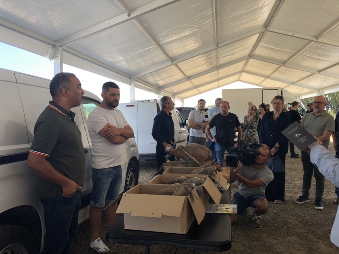 Lancement d’un marché d’intérêt national en Corse : une bonne nouvelle pour… le consommateur Lancement d’un marché d’intérêt national en Corse : une bonne nouvelle pour… le consommateur