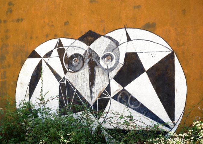 Porto-Vecchio : L’art du graffiti s’exprime au Paradisu Porto-Vecchio : L’art du graffiti s’exprime au Paradisu