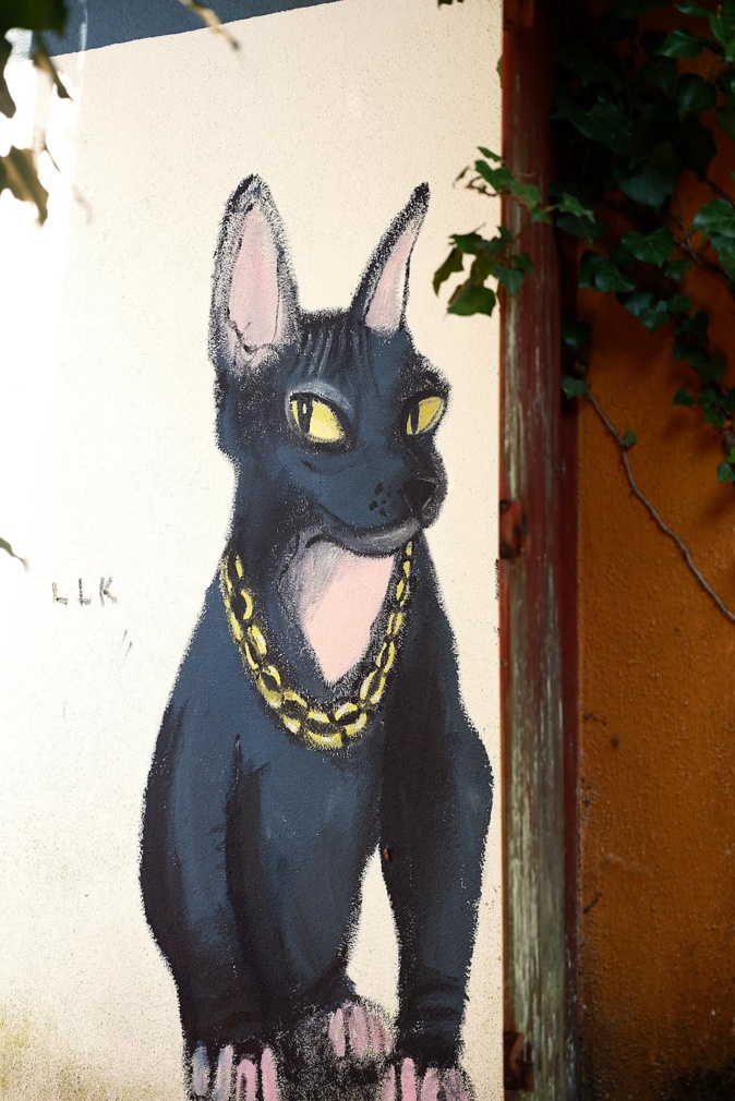 Porto-Vecchio : L’art du graffiti s’exprime au Paradisu Porto-Vecchio : L’art du graffiti s’exprime au Paradisu