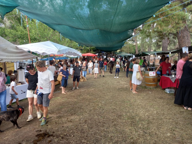 Ptoto ATC. Ptoto ATC.