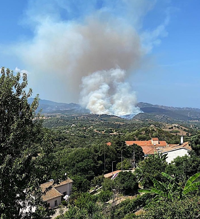 (François Quilici) (François Quilici)