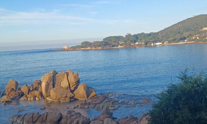 Image illustration de la petition Image illustration de la petition