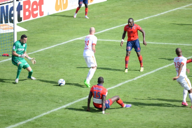 (Photo D. Susini) (Photo D. Susini)