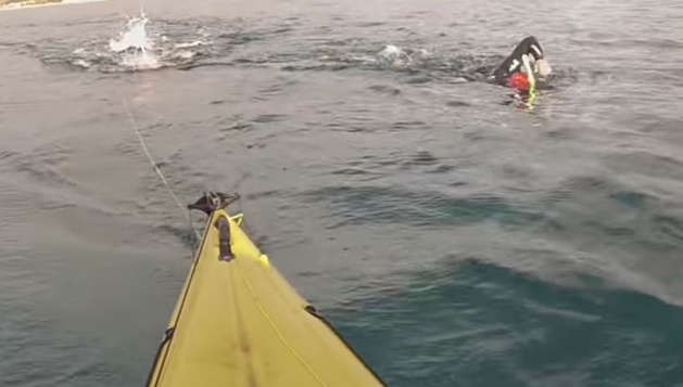 Déception pour Thierry Corbalan et ses compagnons Déception pour Thierry Corbalan et ses compagnons