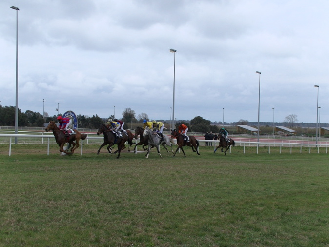 Biguglia accueille le 1er Festival du Cheval ce week-end : un événement équestre pour petits et grands Biguglia accueille le 1er Festival du Cheval ce week-end : un événement équestre pour petits et grands