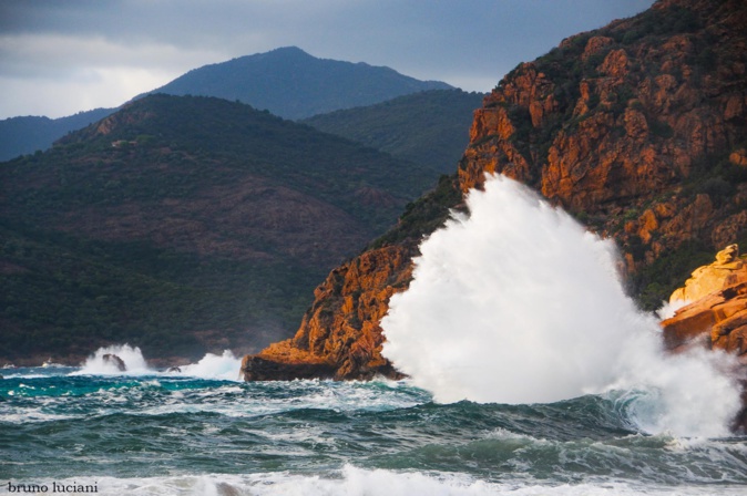 Bruno Luciani) Bruno Luciani)