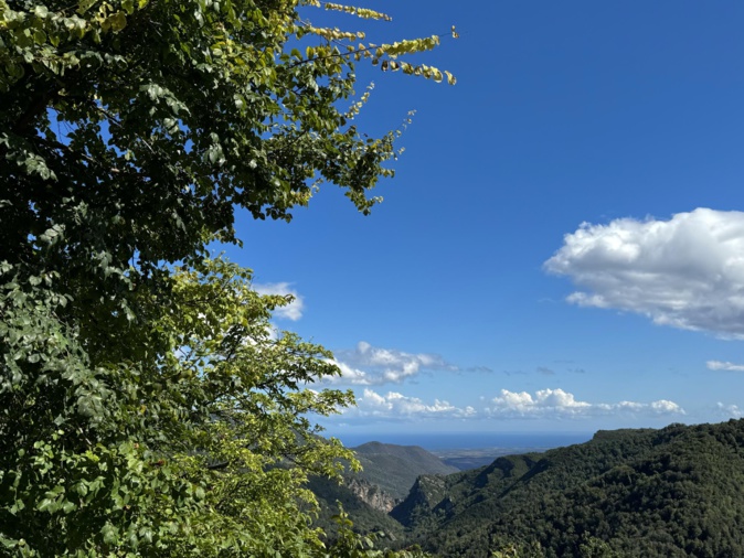 (Jean-François Grazi) (Jean-François Grazi)