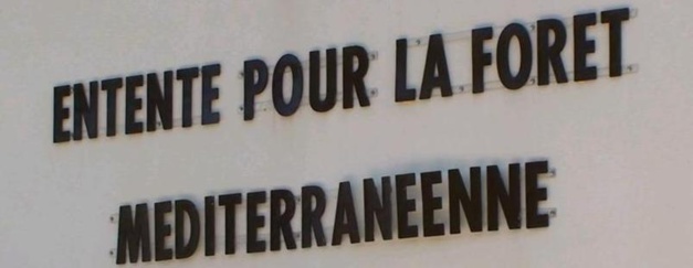 Charles Voglimacci élu vice-président l'Entente pour la forêt méditerranéenne