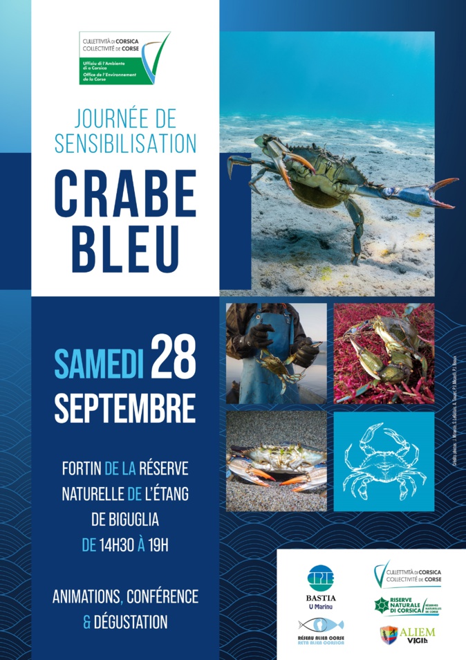 Biguglia : Une journée pour apprendre à mieux connaître et gérer le crabe bleu Biguglia : Une journée pour apprendre à mieux connaître et gérer le crabe bleu