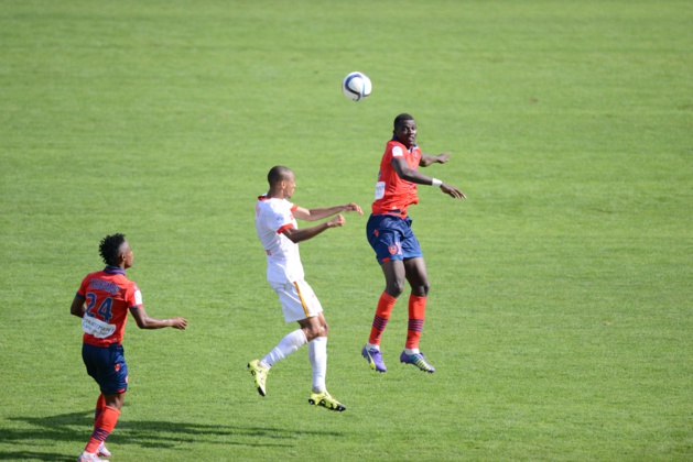 (Photo D. Susini) (Photo D. Susini)