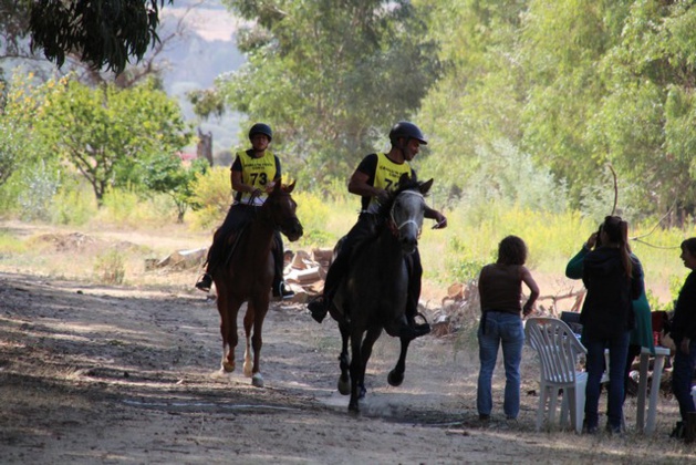 Endurance équestre Calvi-Calenzana : Victoire en 90 km de Nathalie Trojani Endurance équestre Calvi-Calenzana : Victoire en 90 km de Nathalie Trojani