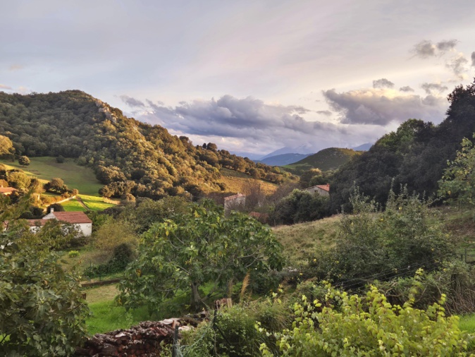 (Françoise Geronimi) (Françoise Geronimi)
