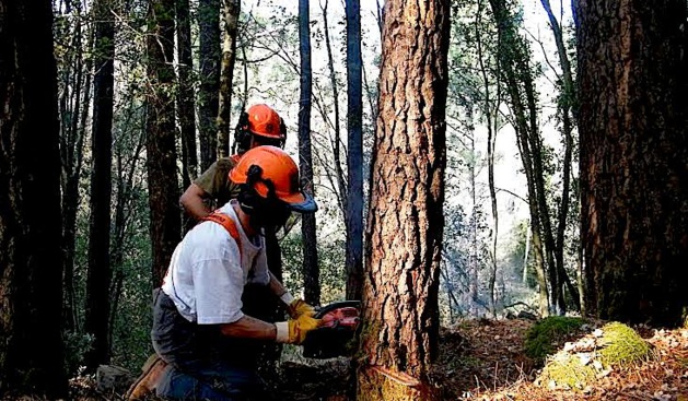 Le CFPPA de Sartène au cœur des formations agricoles en Corse-du-Sud Le CFPPA de Sartène au cœur des formations agricoles en Corse-du-Sud