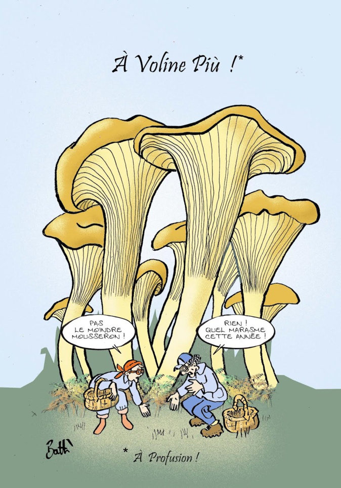 Le dessin de Battì : 2024 une année mycologique exceptionnelle Le dessin de Battì : 2024 une année mycologique exceptionnelle