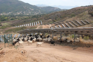 La vocation agricole de la zone préservée La vocation agricole de la zone préservée