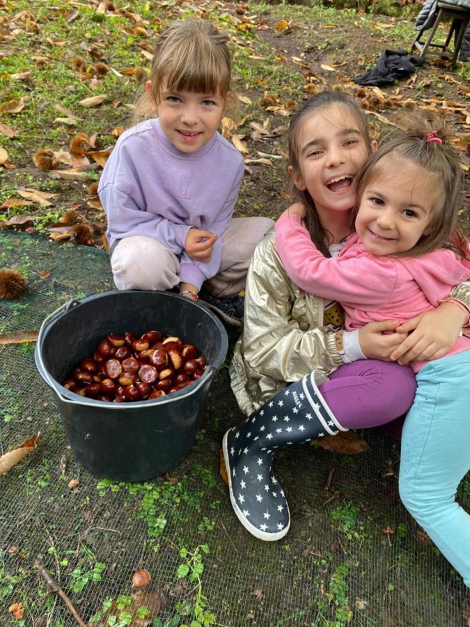 Document CNI Document CNI