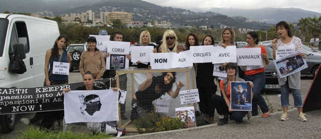 Global Earth Keeper : "La Corse dit non aux cirques avec animaux"