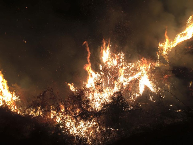 (Photo Sapeurs-pompiers de Vico) (Photo Sapeurs-pompiers de Vico)