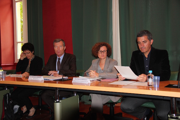 L’Assemblée de Corse va se prononcer sur la programmation pluriannuelle de l’énergie