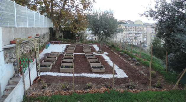 Bastia : Un jardin pédagogique au collège de Saint-Joseph Bastia : Un jardin pédagogique au collège de Saint-Joseph