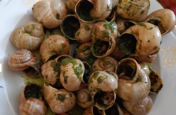 Après Natale, capu d'annu… : comment se remettre en forme avant le prochain réveillon Après Natale, capu d'annu… : comment se remettre en forme avant le prochain réveillon