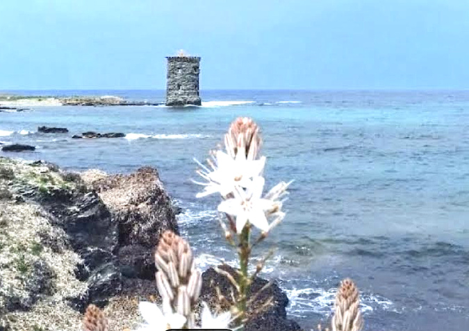 Tour de Santa Maria (Babette AV) Tour de Santa Maria (Babette AV)