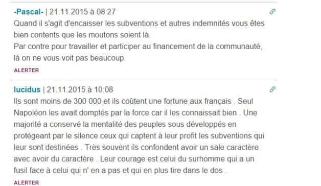Marseillaise à Furiani : Déferlement de haine sur internet envers "les Corses"