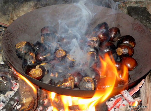  Une vie de châtaigne en Alta Rocca Une vie de châtaigne en Alta Rocca