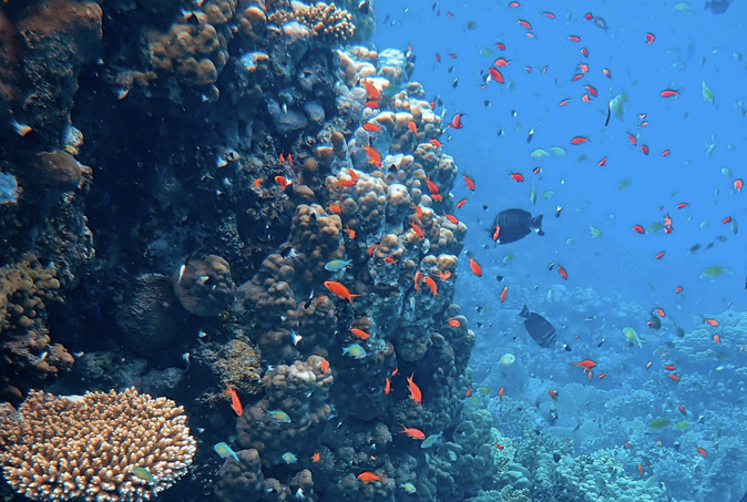 « I Scontri di l'Omu è di l'Uceani » : une journée dédiée à l’Océan et aux enjeux climatiques à Bastia « I Scontri di l'Omu è di l'Uceani » : une journée dédiée à l’Océan et aux enjeux climatiques à Bastia