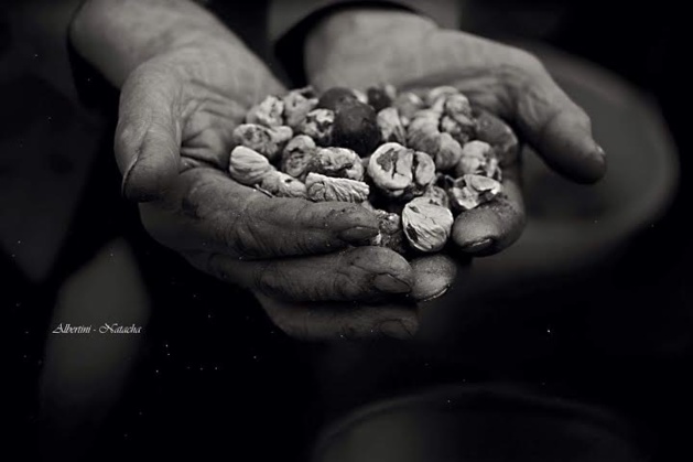 Natacha Albertini, « La Corse, entre traditions et coutumes » : une expo photos financée par Kiss Kiss Bank Bank