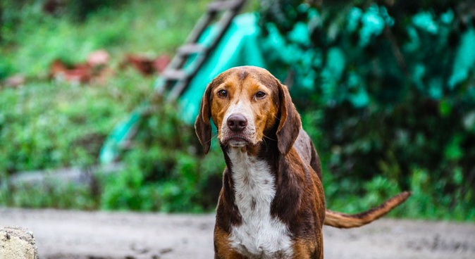 Photo d'illustration Photo d'illustration