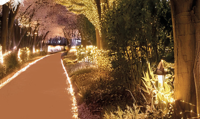 Crédit photo Cità di Bastia Crédit photo Cità di Bastia