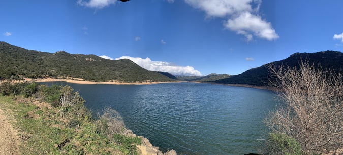 Riccia di Talza (Nadine Lovichi) Riccia di Talza (Nadine Lovichi)