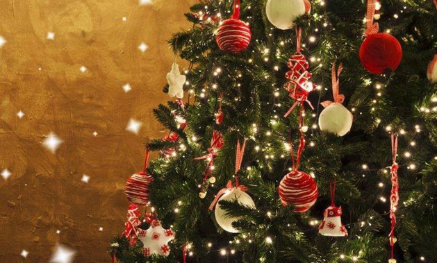 Natale in Lumiu : L’arbre de vie, l’arbre de paix Natale in Lumiu : L’arbre de vie, l’arbre de paix