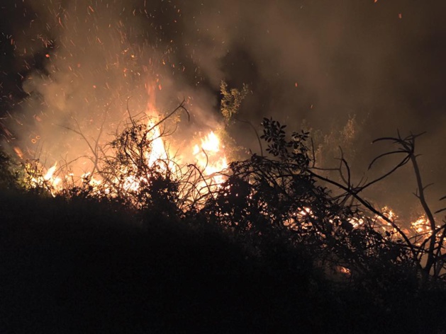 (Photo © Sapeurs-pompiers de Vico) (Photo © Sapeurs-pompiers de Vico)