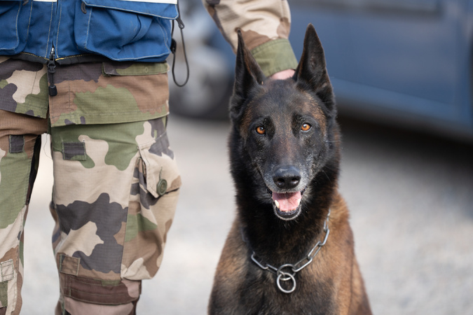 (Photo : Paule Santoni) (Photo : Paule Santoni)