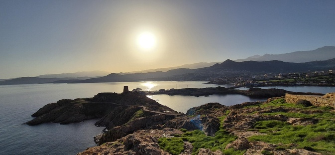La photo du jour : Lisula à contre-jour La photo du jour : Lisula à contre-jour