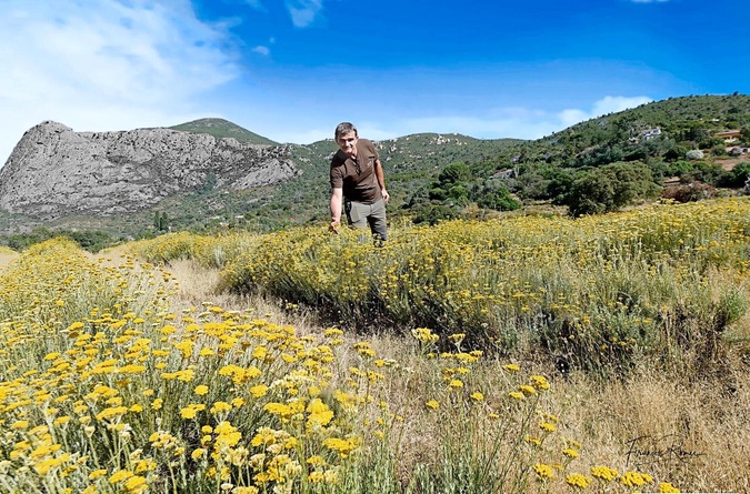 Photo Femu a Corsica Photo Femu a Corsica