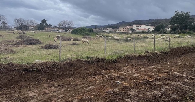 La photo di U Levante La photo di U Levante