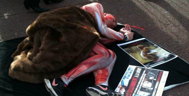 Bastia : Les militants de la cause animale expliquent la face cachée de la fourrure